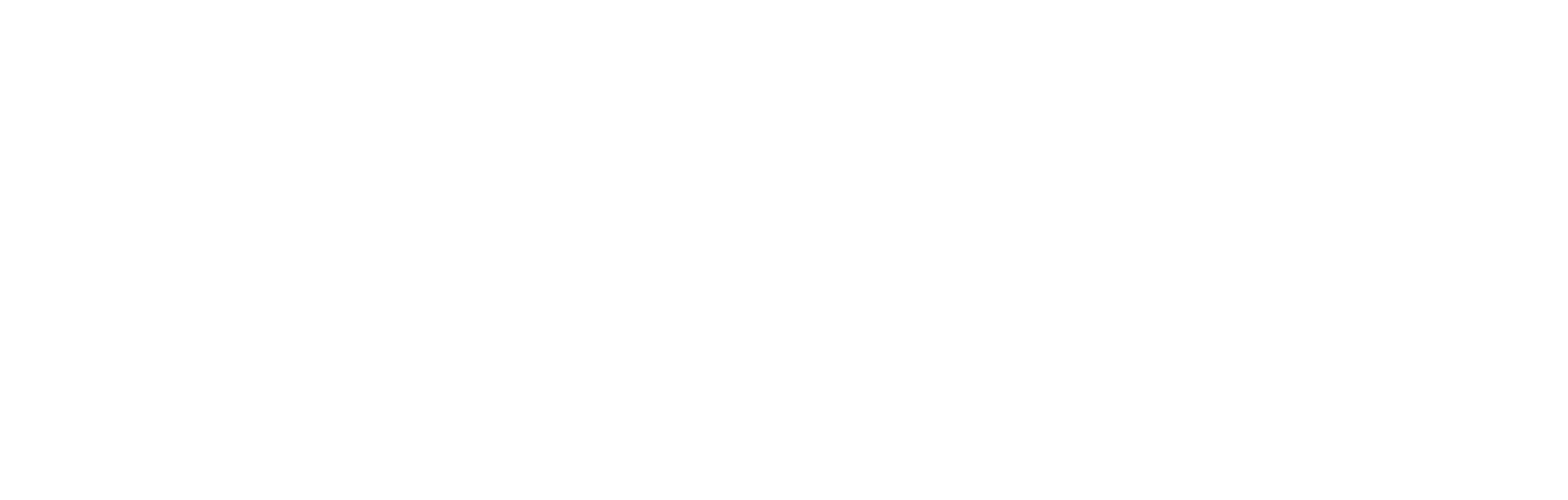 payfast_by_network_white@2